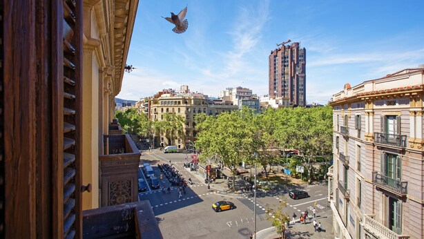 A city street with buildings, trees, and a bird flying. - Fontanella Green House (Barcelona)