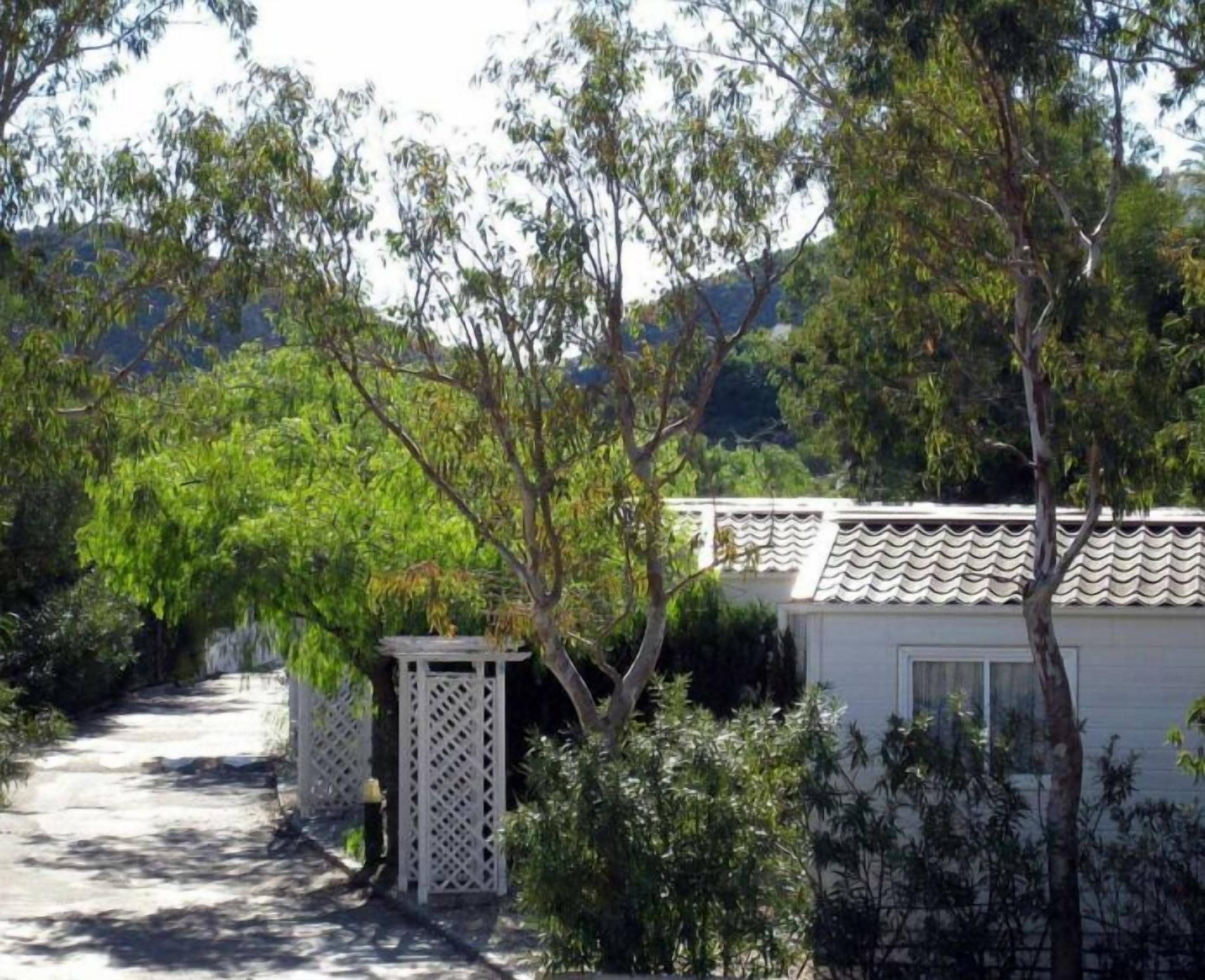A pathway leading to a white building with a tiled roof, surrounded by lush greenery and trees.