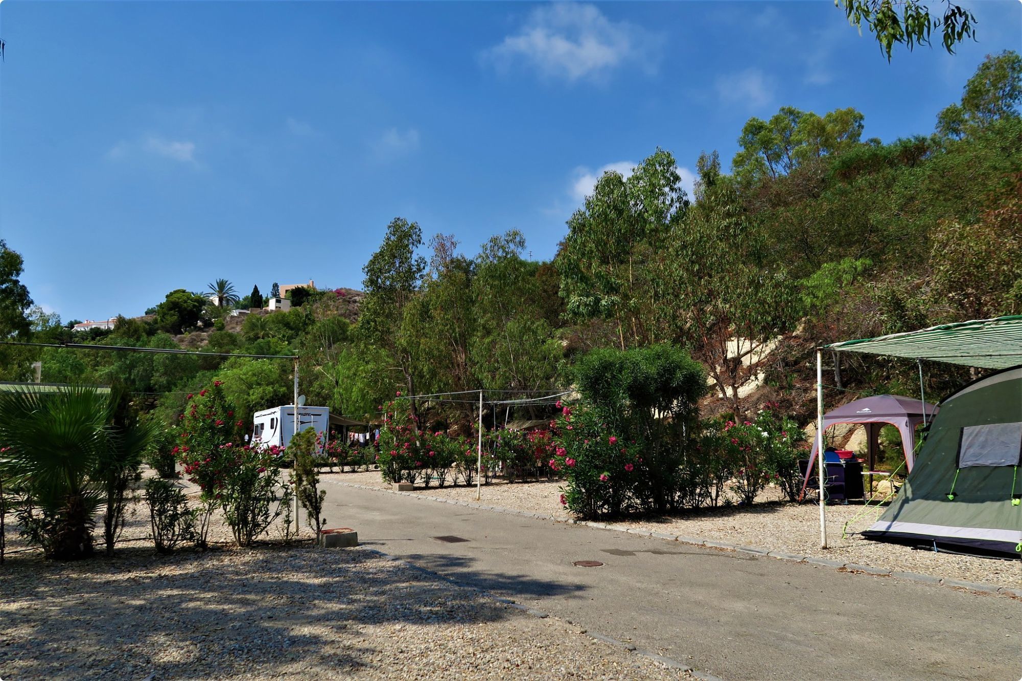 A campsite with a tent, a small RV, and a paved road.