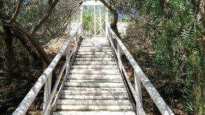 Un escalier en bois, doté de rampes en métal, mène en haut d’une colline, entourée d’arbres et d’arbustes.