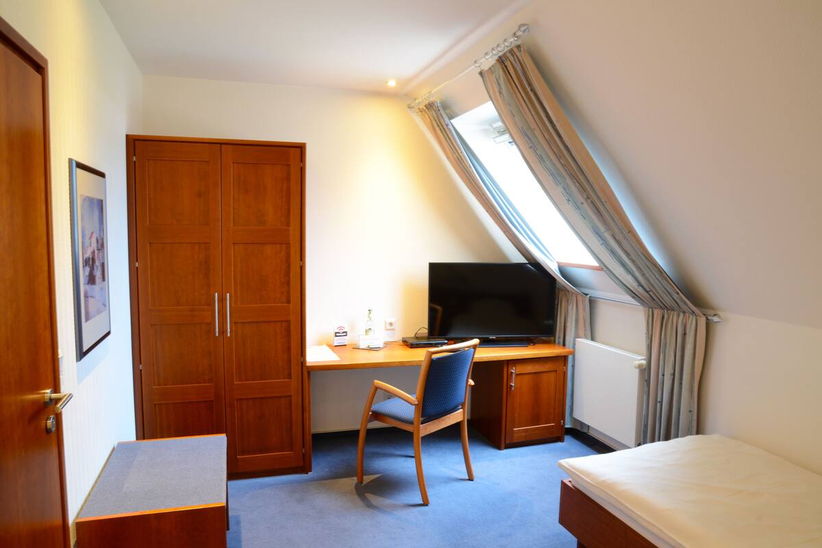 Economy Single Room | Minibar, desk, laptop workspace, WiFi (free)