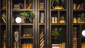 A bookshelf with books, decorative items, and plants. - Iveagh Garden Hotel (Dublin)