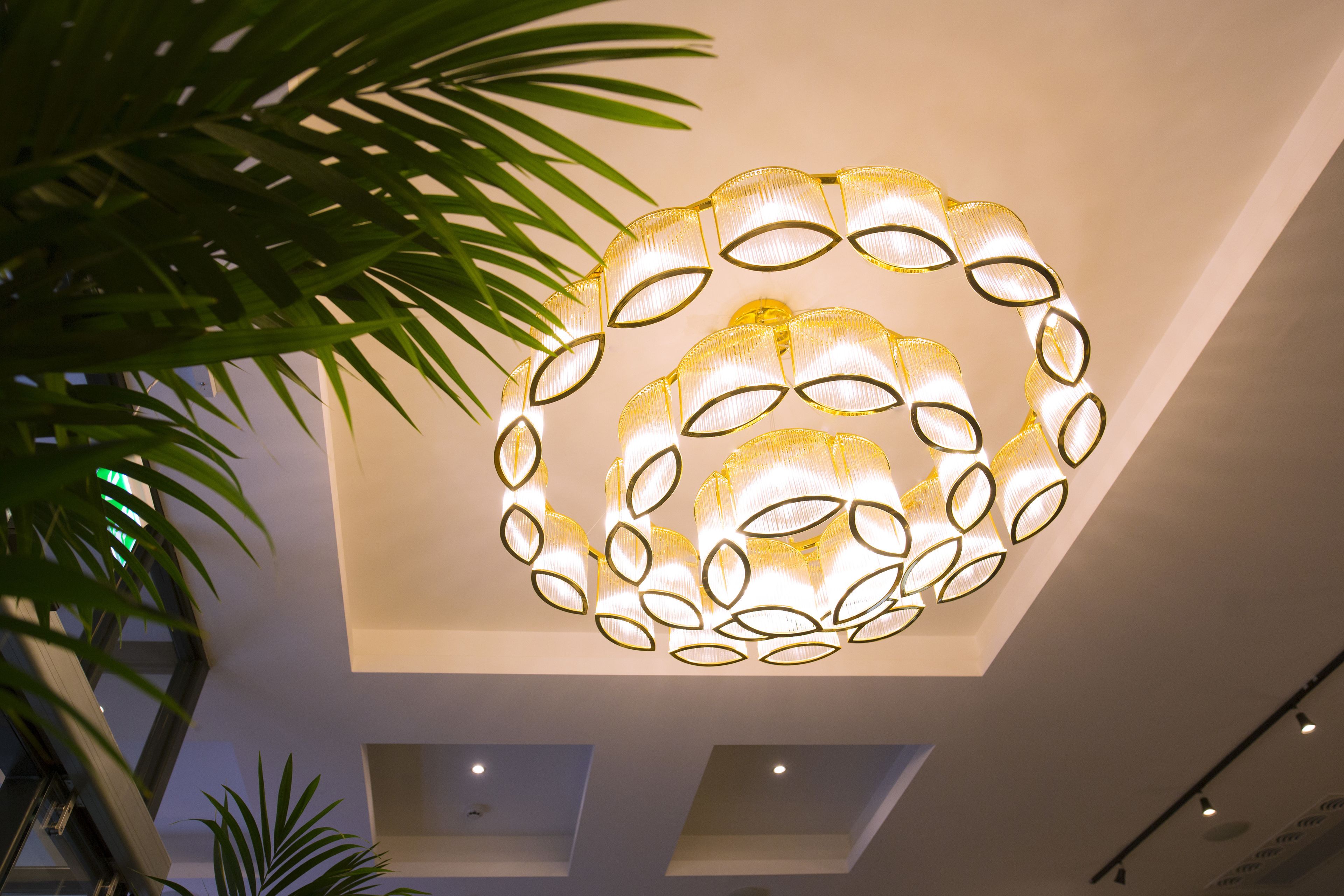 Foto - Iveagh Garden Hotel