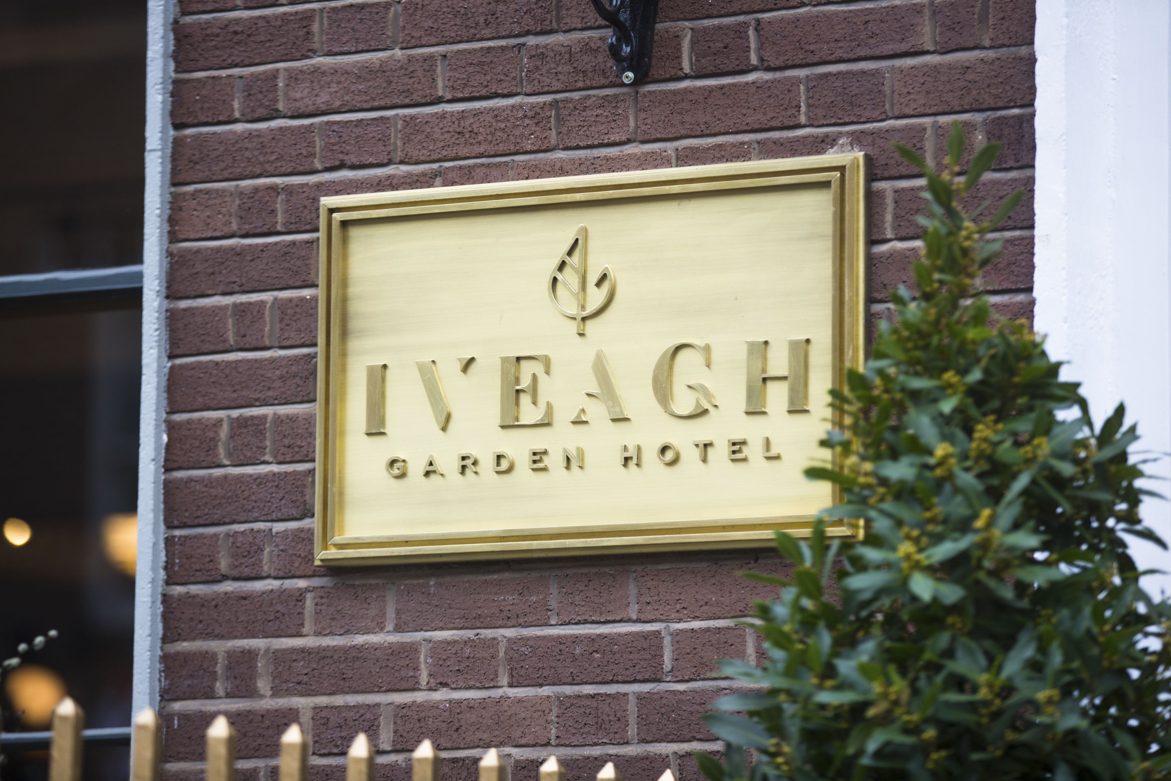 Foto - Iveagh Garden Hotel