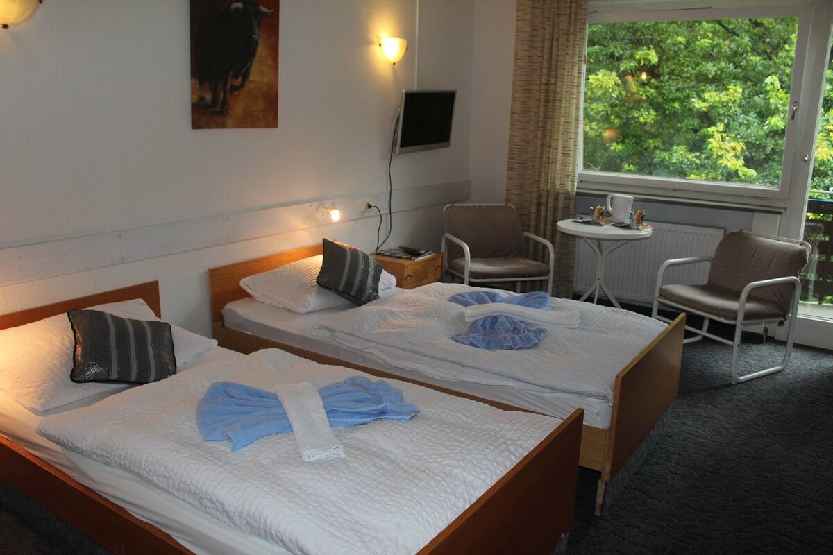 Twin Room (Budget) | Down comforters, desk, free cribs/infant beds, free WiFi