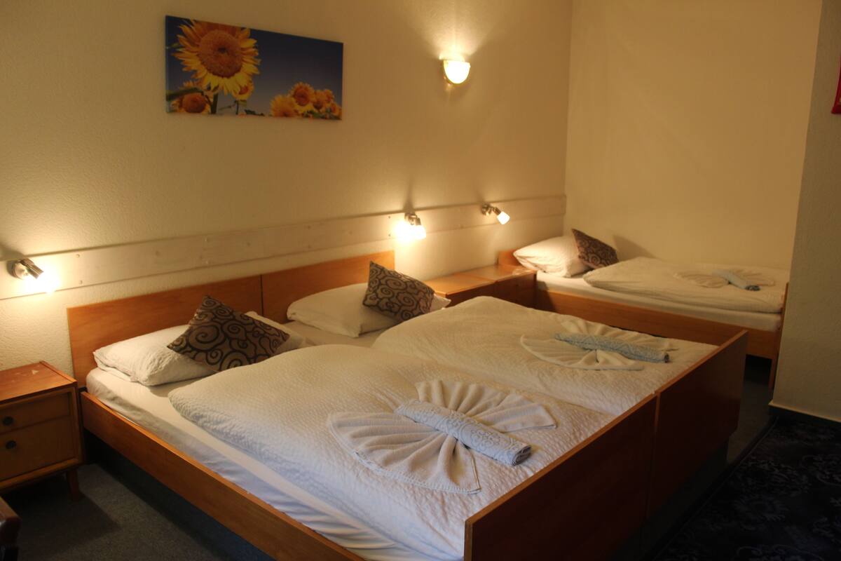 Triple Room, Mountain View (Budget)