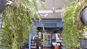 A cozy indoor space with hanging plants, wooden furniture, and a ceiling fan. - Canaan Guesthouse (Kanchanaburi)