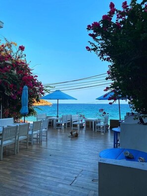 Reception - Blue Anchor Lodge & Cafe-Binh Ba Island (Cam Ranh)