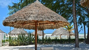 Private beach - Alawi Boutique Hotel (Watamu)