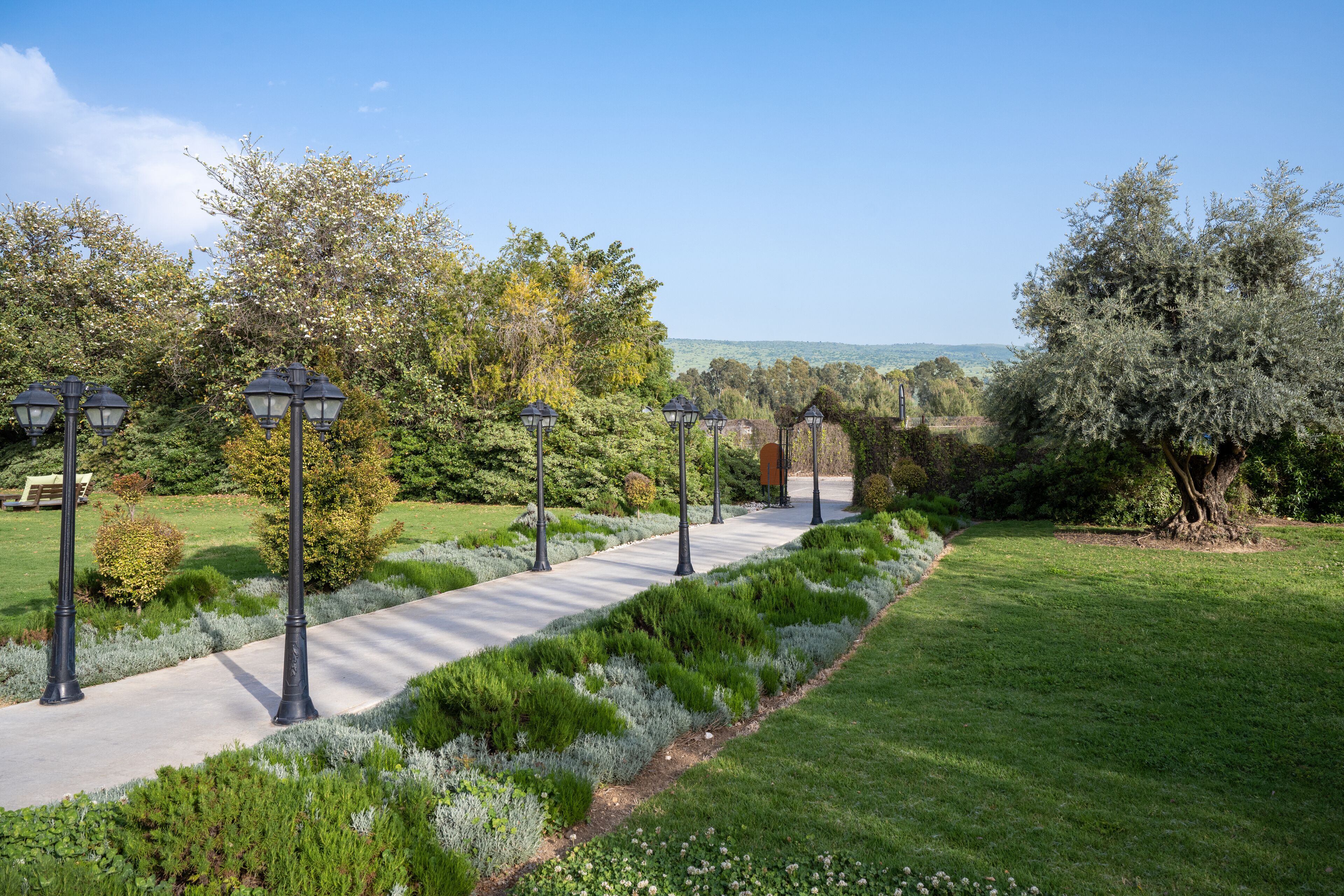 A pathway lined with black lampposts, surrounded by well-maintained hedges and trees, leading to a bench area.