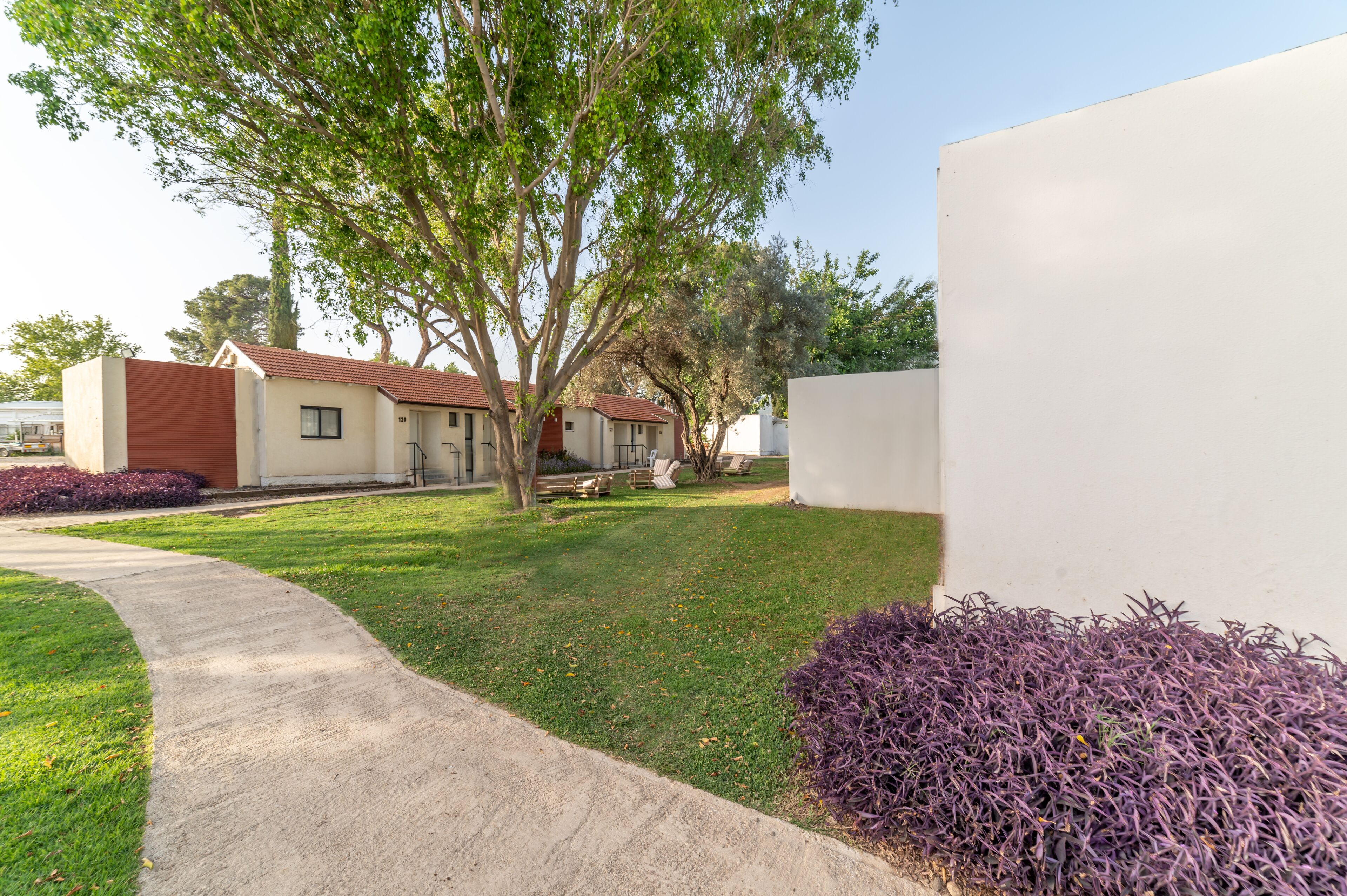 Zona residencial con un sendero pavimentado, un árbol grande y un edificio blanco.