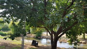 A park with a pond, benches, and trees.