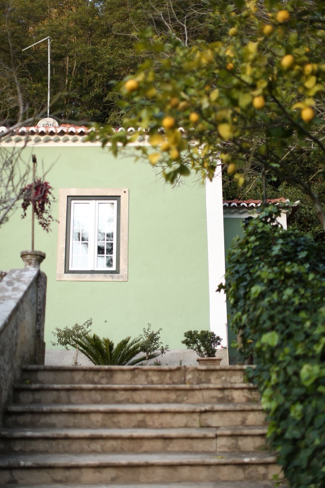 Foto - Casa Holstein Quinta de Sao Sebastiao Sintra