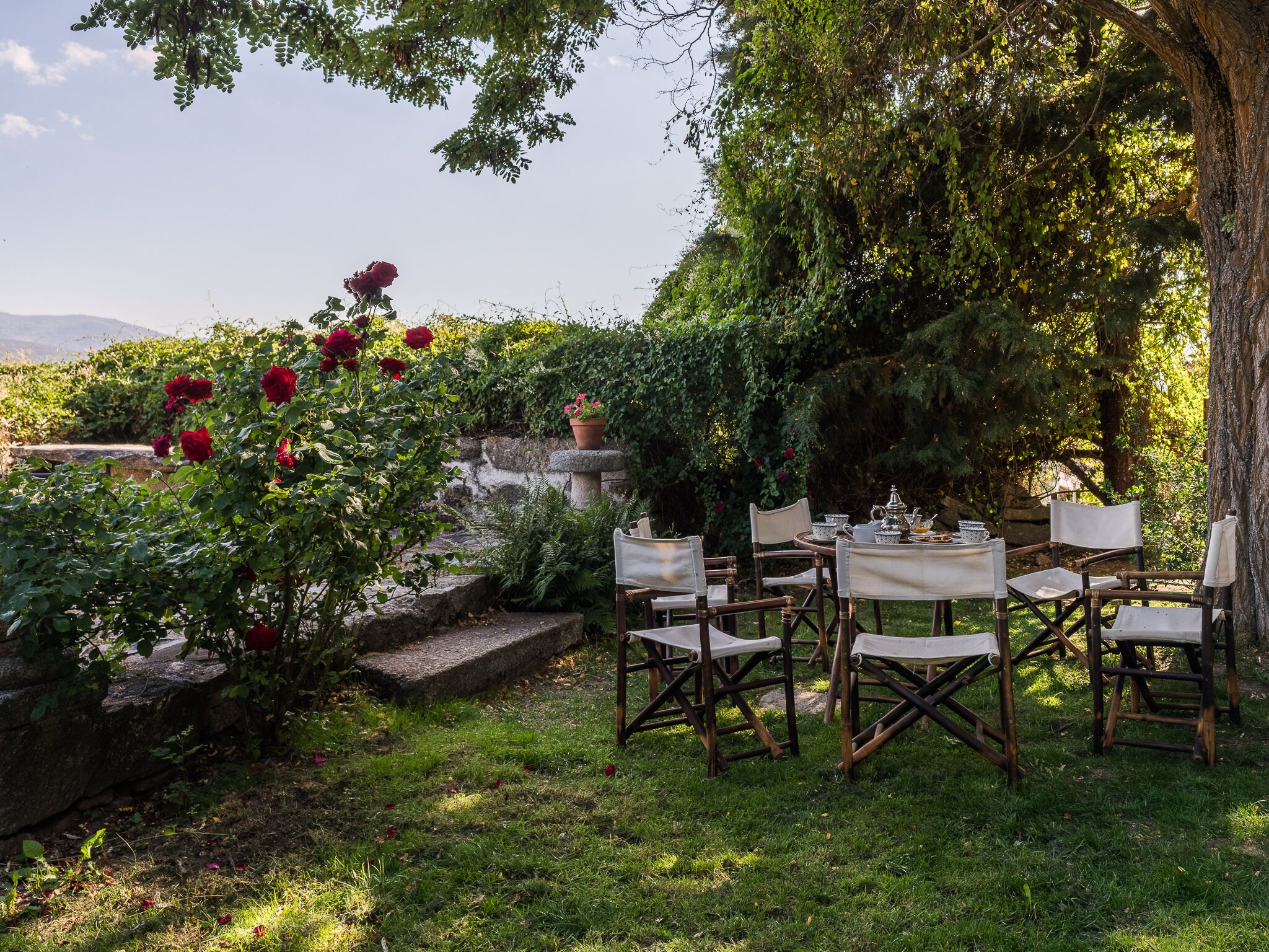 Un espace de restauration en plein air avec une table et des chaises en pierre, entouré d’une végétation luxuriante et de roses rouges.
