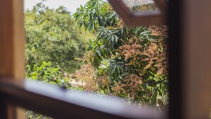 A view through a window with a metal frame, displaying a lush garden with various trees and shrubs. - Terra dos Diamantes (Lençóis)