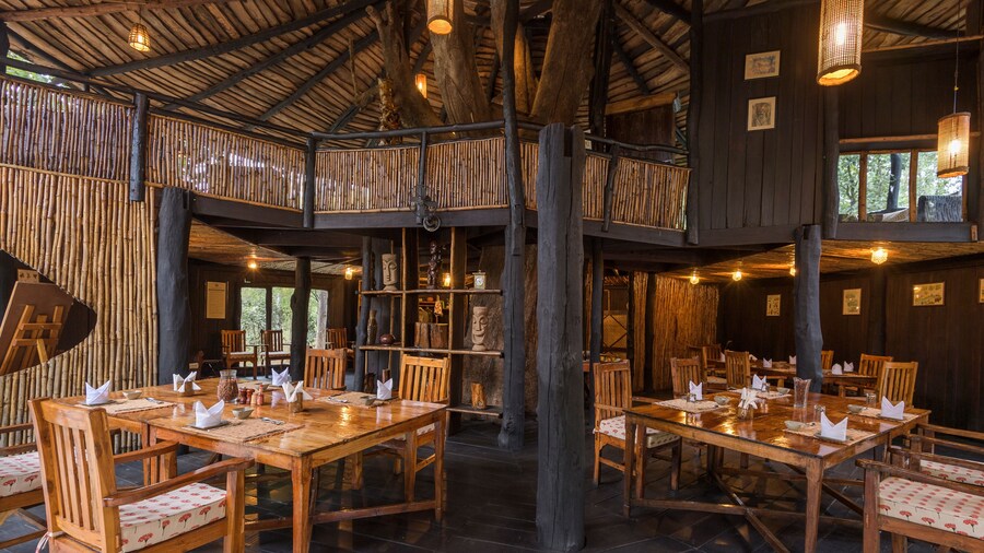 Pugdundee Safaris- Tree House Hideaway