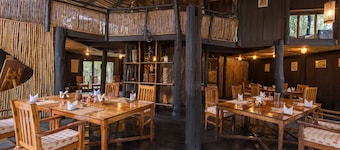 普頓迪野生動物園隱密樹屋飯店