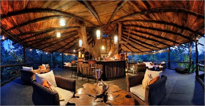 普顿迪野生动物园隐密树屋酒店