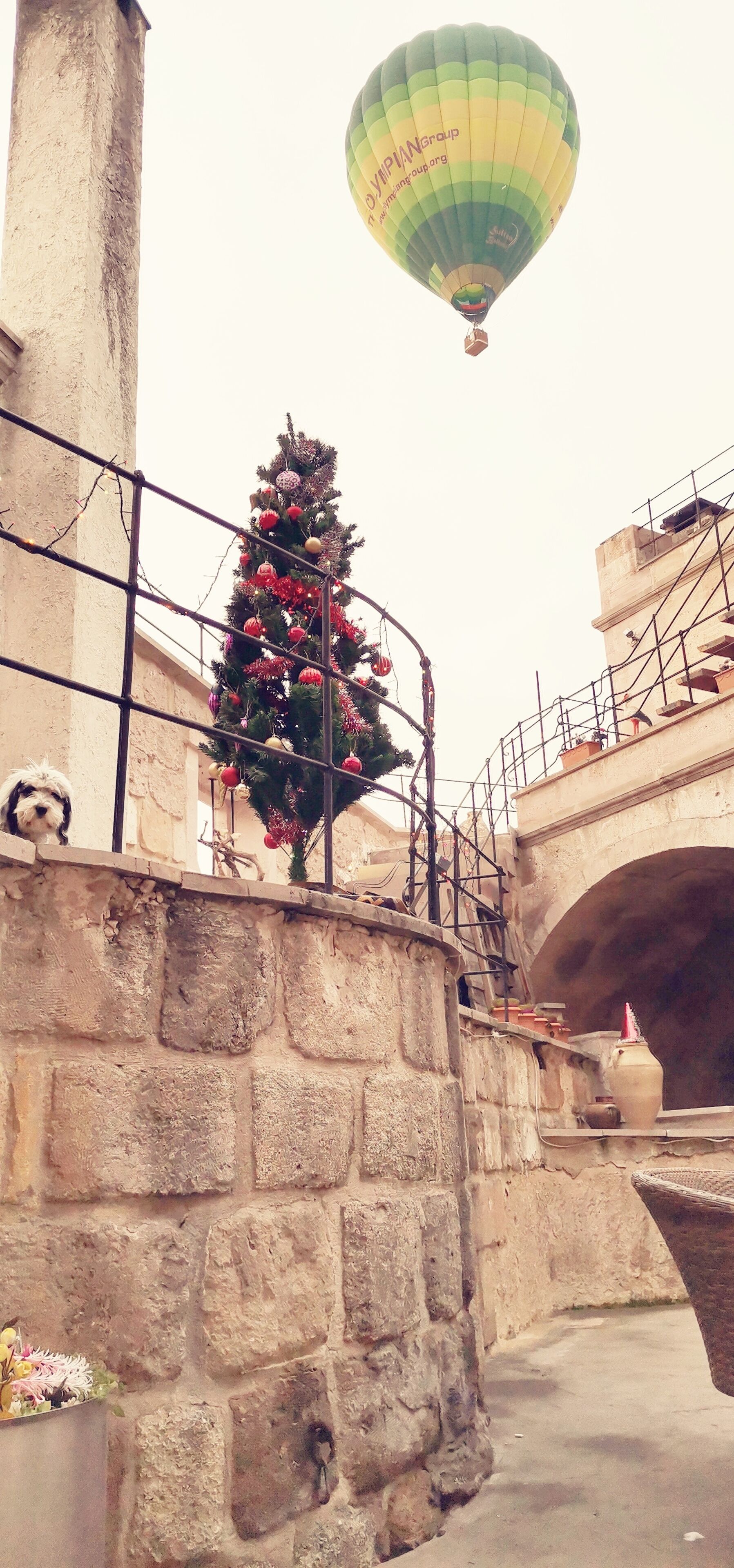 Photo - Salkım Cave House