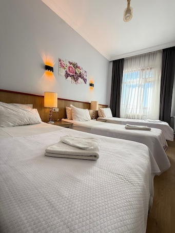 Minibar, escritorio, tabla de planchar con plancha y wifi gratis