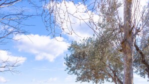 Mobiliário externo com cadeiras brancas e almofadas laranja, uma mesa redonda e vista para uma paisagem montanhosa.
