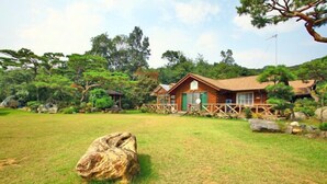 A rustic cabin with a thatched roof, surrounded by lush greenery and a large rock in the foreground.