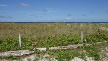 Une plage avec du sable, de l’herbe et une clôture.