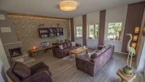 A living room with a stone wall, a fireplace, a bookshelf, and a large window with curtains.