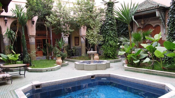 Ein Schwimmbecken mit gefliesten Rändern, umgeben von einem Garten mit verschiedenen Pflanzen und einer Fontäne.