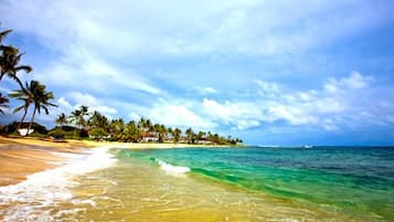 Playa en los alrededores