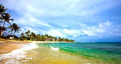 Nice 2BR@Beach Hear Waves! Value Comfort-Best Location SALE Nov to Dec 15!