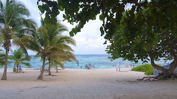Plage à proximité, chaises longues, serviettes de plage