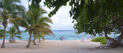 Sun-loungers, beach towels