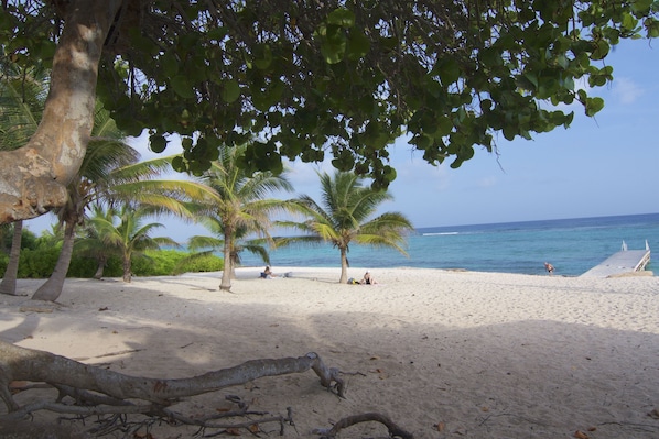 Beach nearby, sun-loungers, beach towels