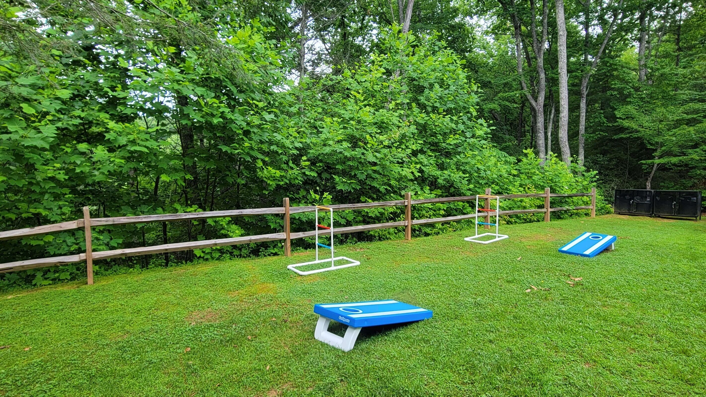 A grassy outdoor area with a wooden fence, a blue and white agility course, and dense green foliage in the background.