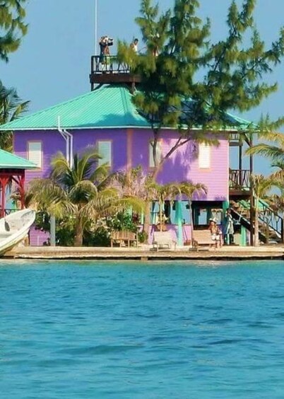 Purple Octopus Suite at King Lewey's Island Resort, Placencia Cayes, Belize