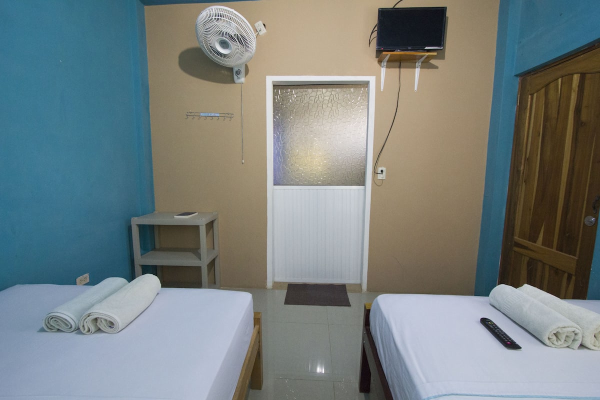 A room with two beds, a fan, a TV, and a door.
