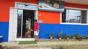 A reception area with a dog standing at the entrance, a woman standing nearby, and colorful potted plants outside. - Hostal Alcazaba (Puerto Lopez)