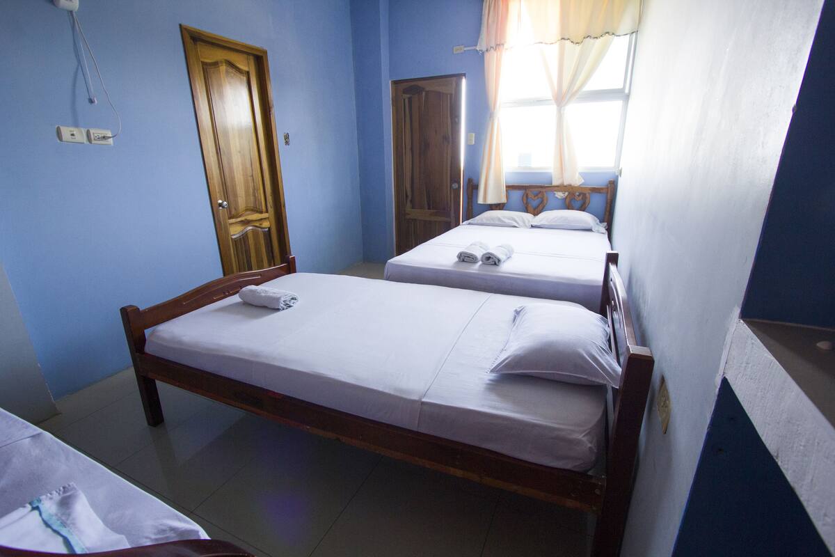A bedroom with two single beds, a wooden door, and a window with curtains.