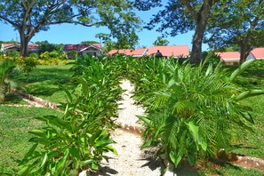 Hiking - Playa Lagarto Eco Development (Cuajiniquil)