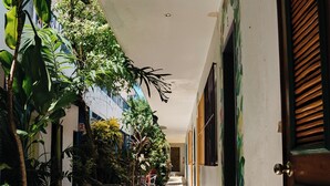 A narrow corridor with a concrete floor, surrounded by greenery and a row of doors with wooden shutters. - Hotel Posada Edem (Cozumel)