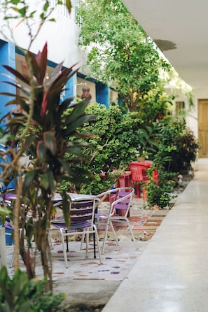 Terraza o patio