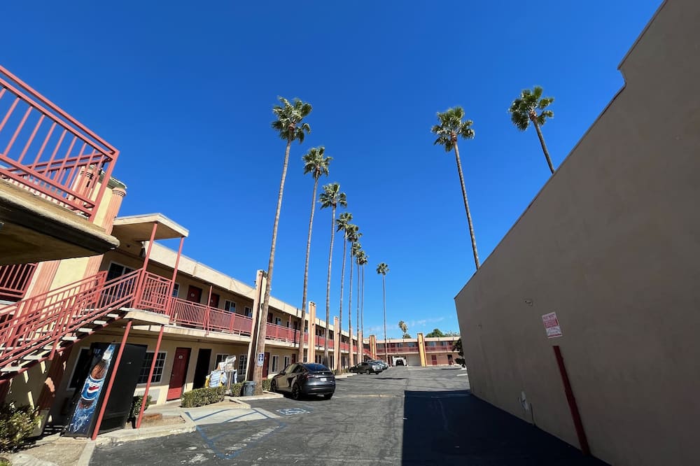 Palm Tree Inn