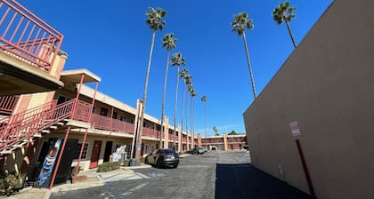 Palm Tree Inn