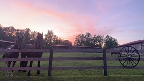 A stable with two horses and a wooden fence. - Big South Fork Lodge (Jamestown)