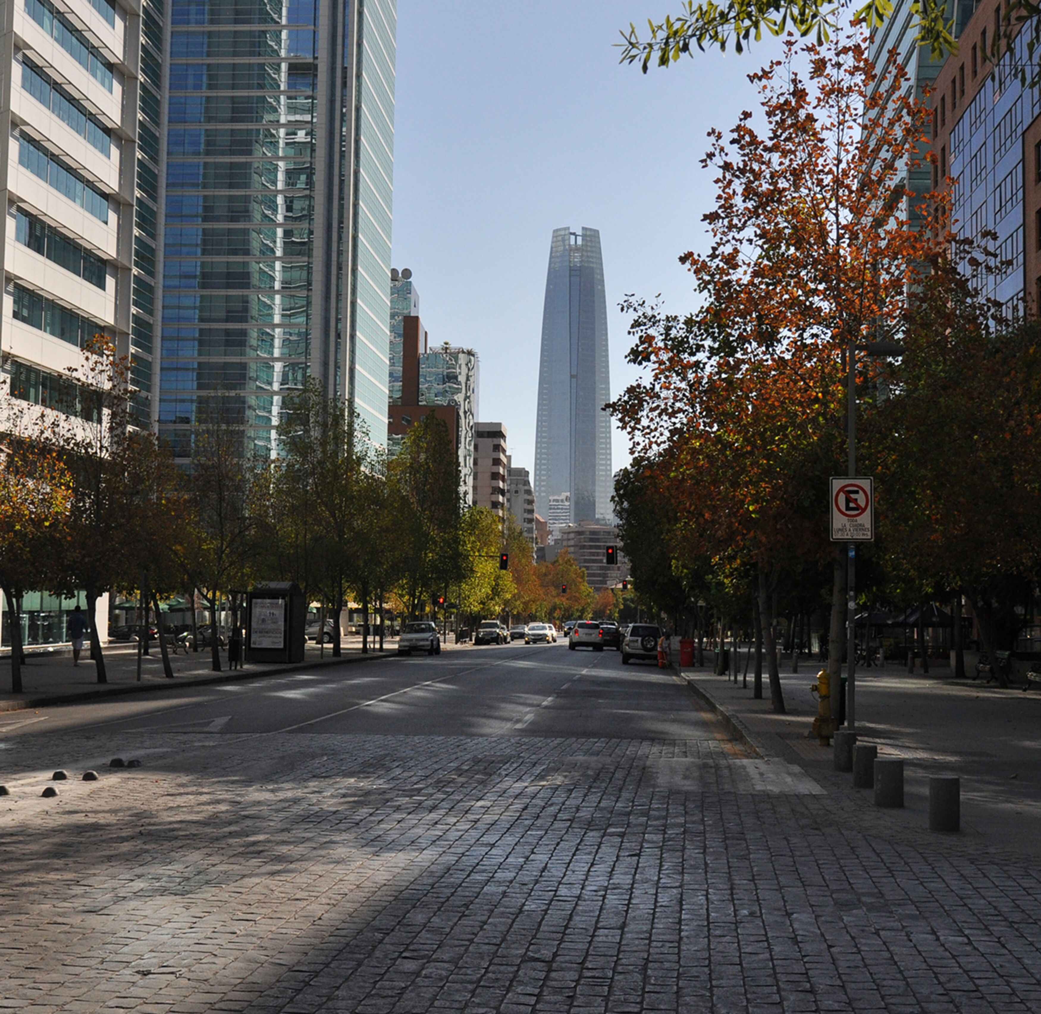 Una calle urbana con pavimento de adoquines, edificios modernos y árboles otoñales.