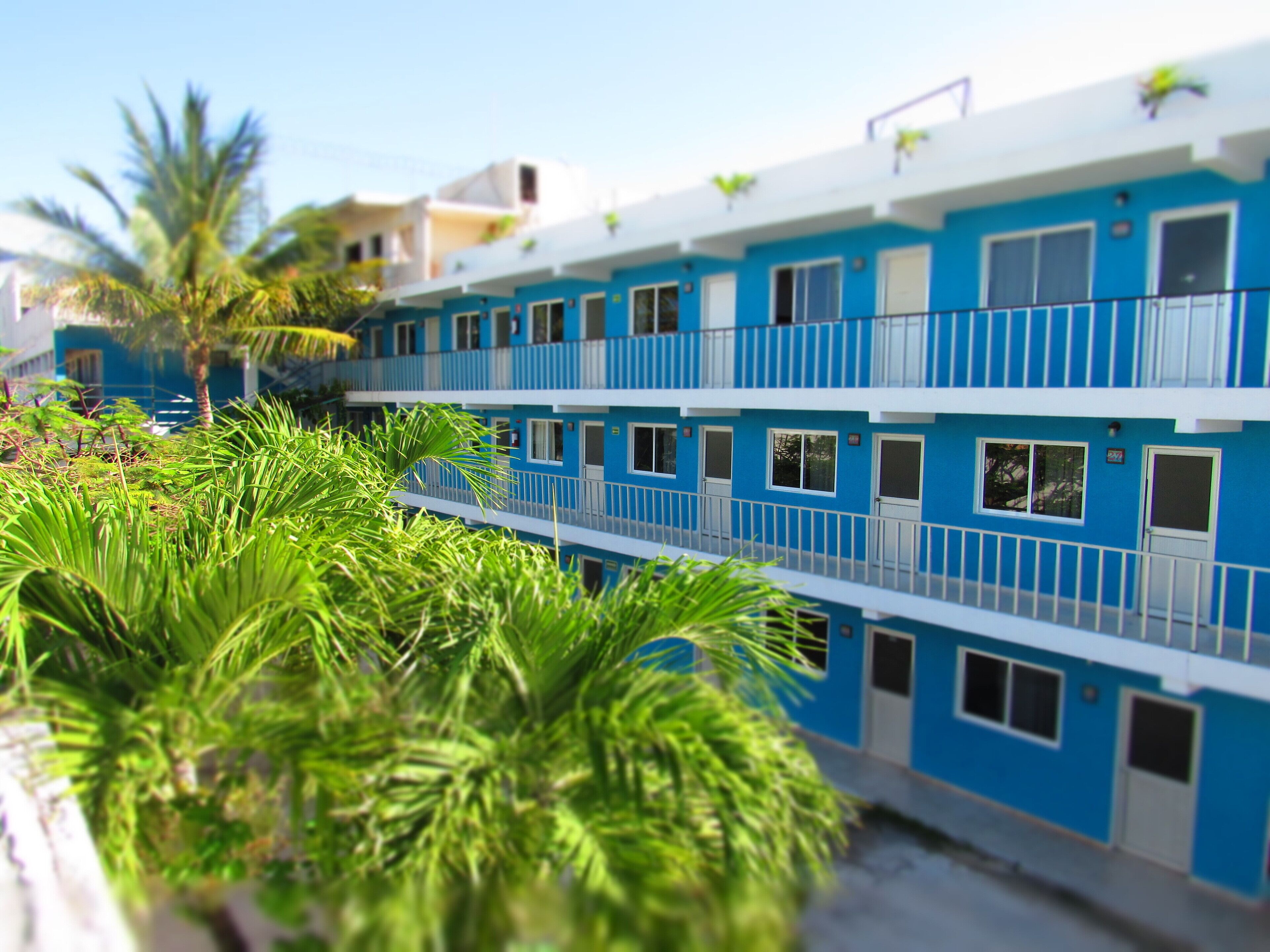 Foto - Blue Coconut Cancun Hotel