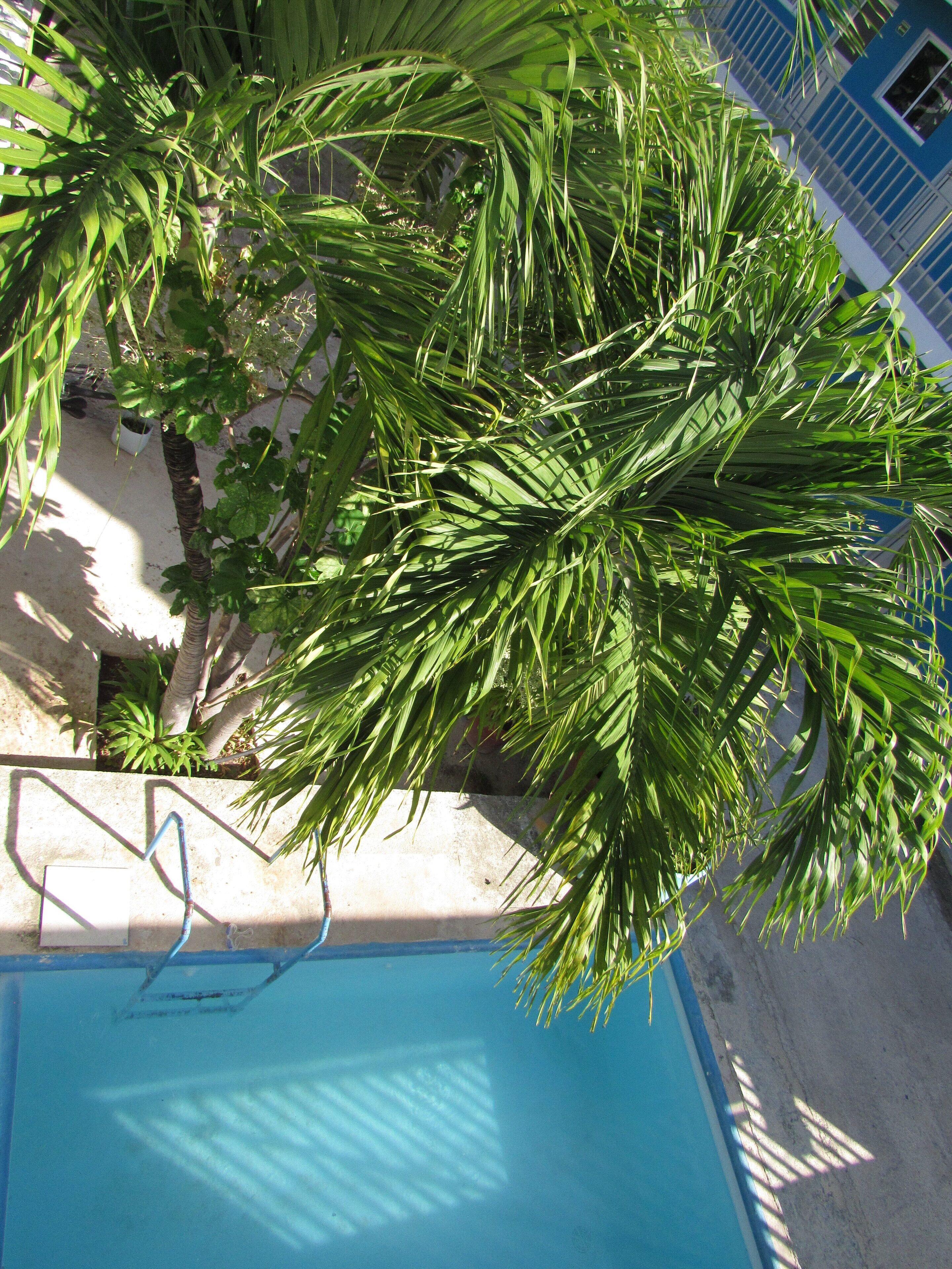 Foto - Blue Coconut Cancun Hotel