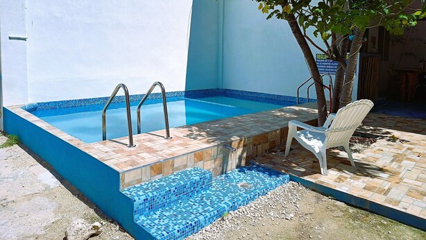 A small outdoor swimming pool with steps leading into it, surrounded by a white wall and a palm tree. - Blue Coconut Cancun Hotel (Cancun)