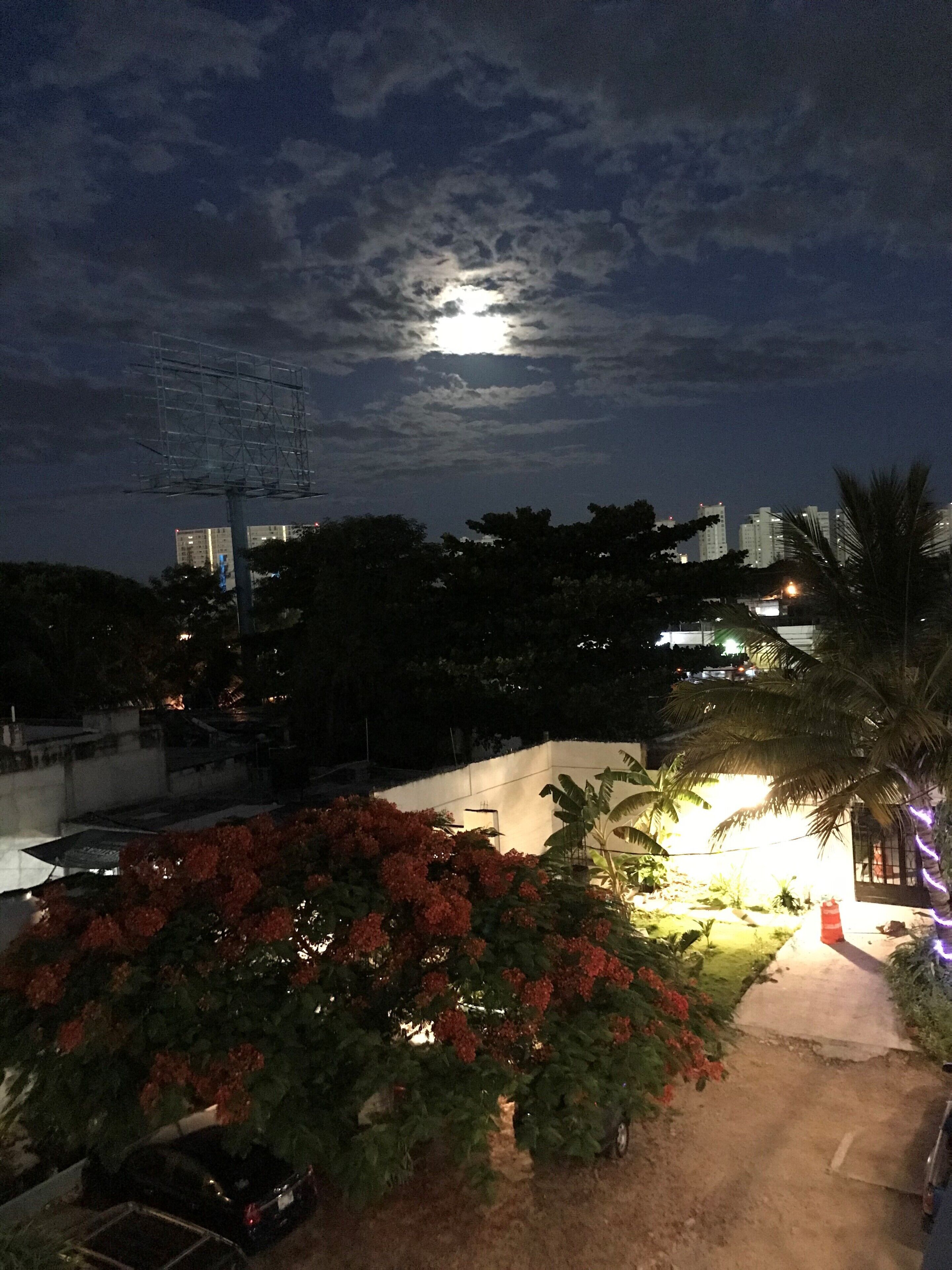 Foto - Blue Coconut Cancun Hotel